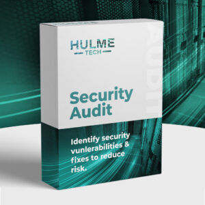 Website Security Audit